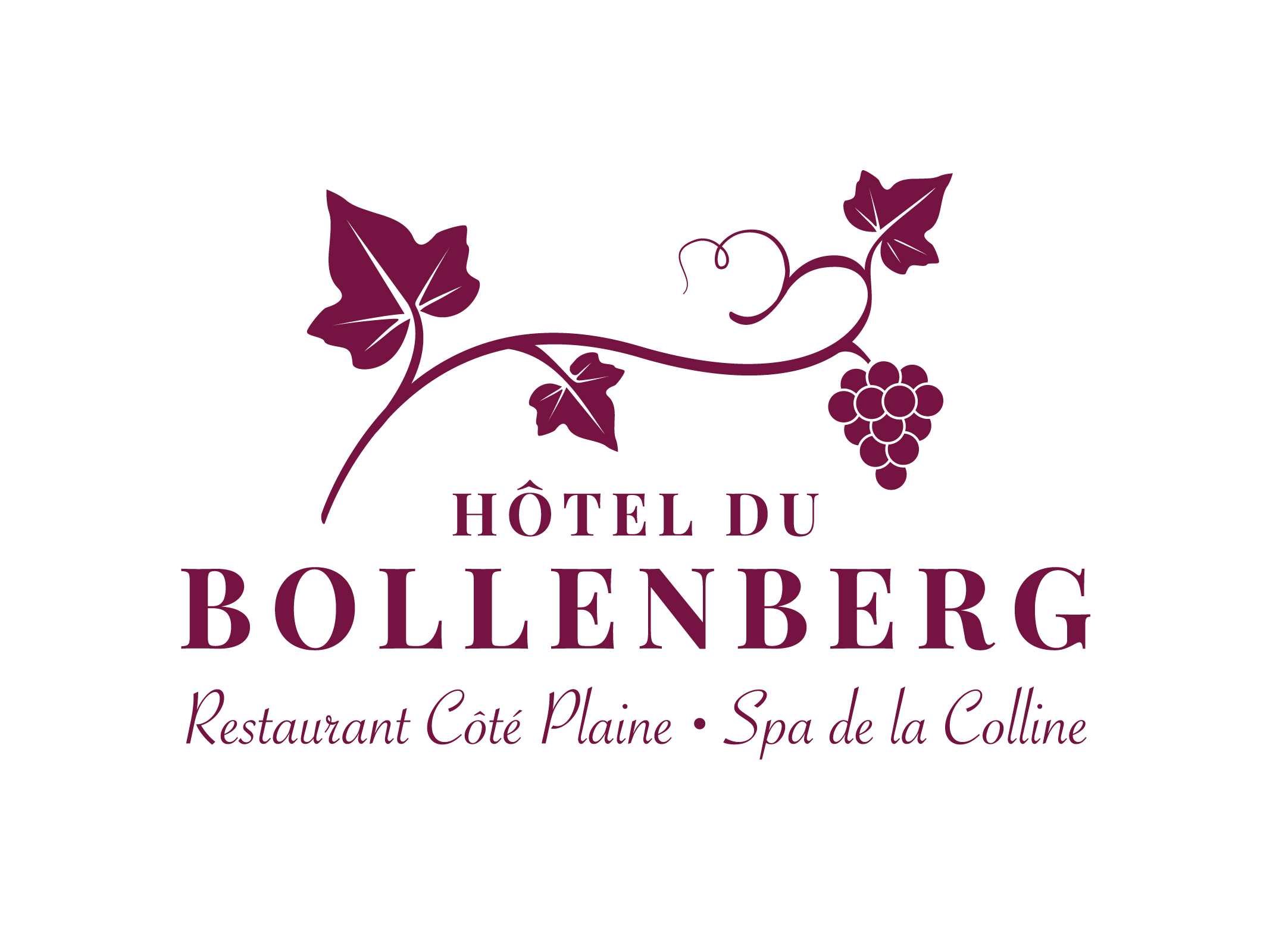 HotelDuBollenberg Logo
