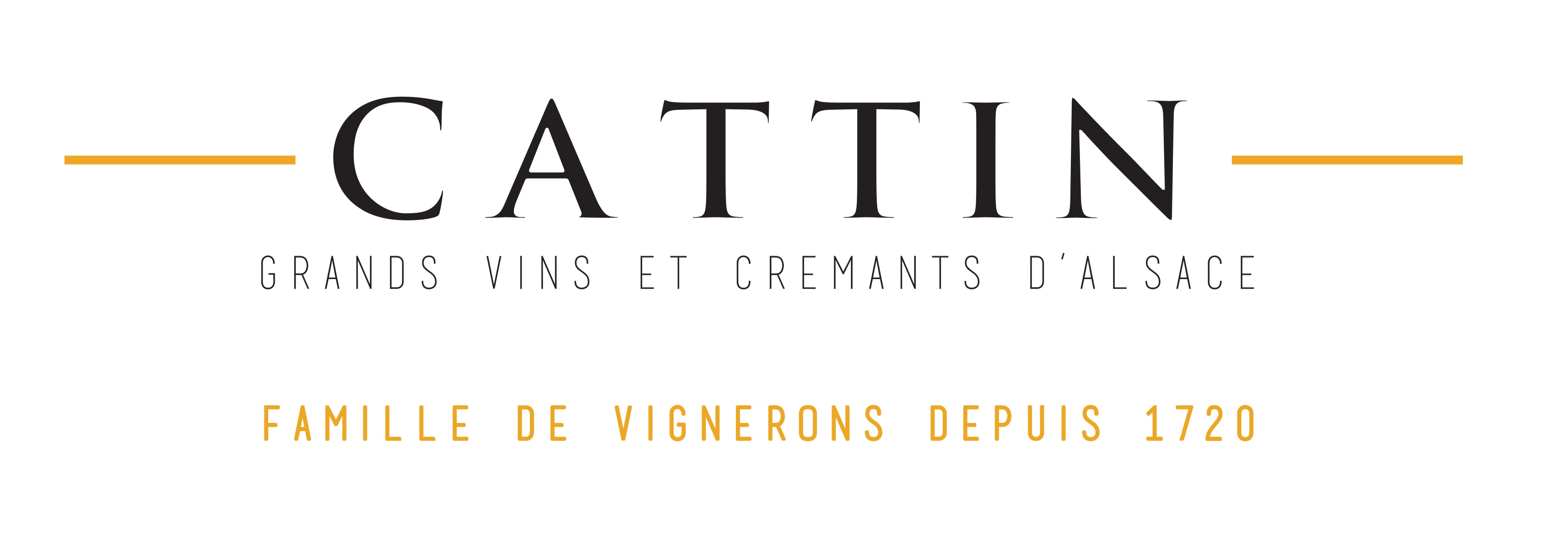 CATTIN logo